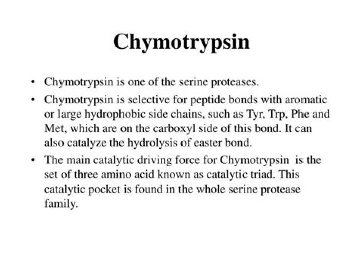 What is the catalytic triad of chymotrypsin