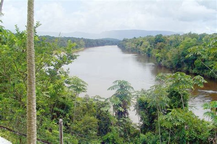 What is the climate of Guyana like?