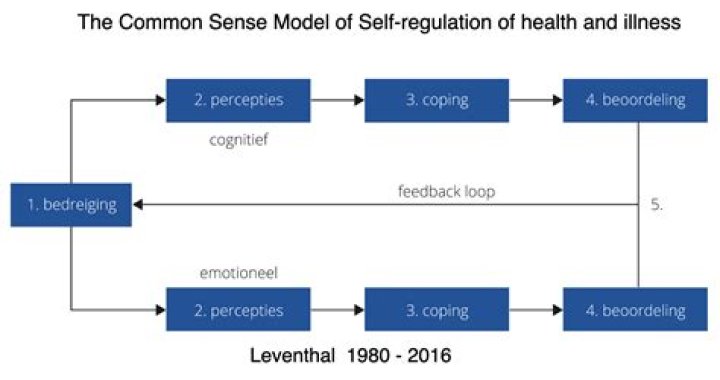 What is the common sense model