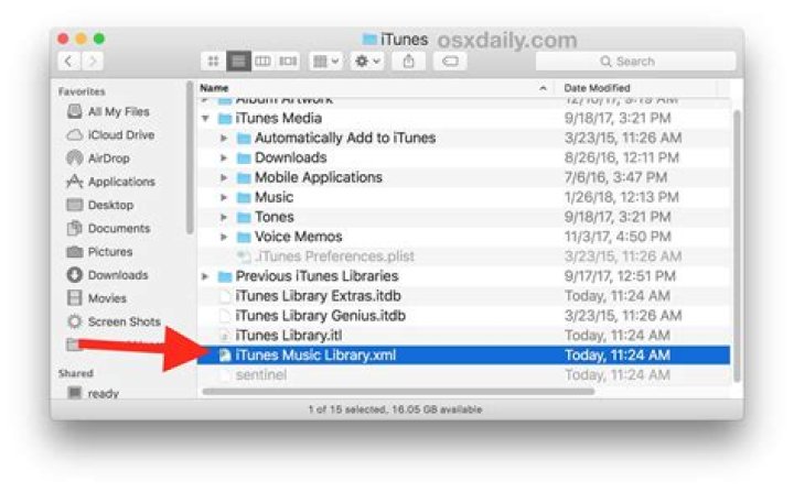What is the default iTunes format?