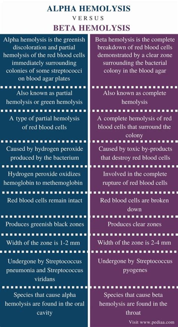 What is the difference between beta hemolysis and alpha hemolysis?