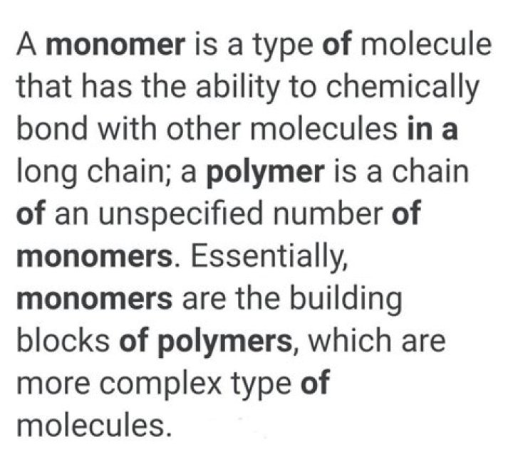 What is the difference between monomer and polymer?