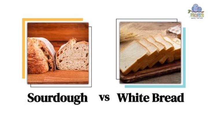 What is the difference between sprouted bread and regular bread