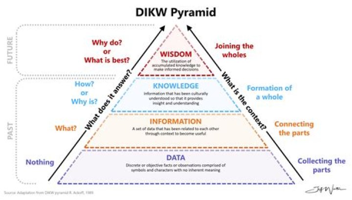What is the DIKW model?