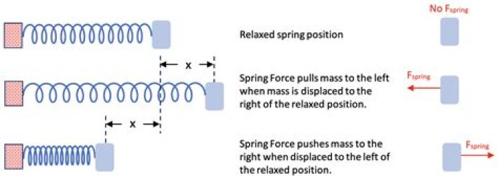 What is the effect of force on a spring