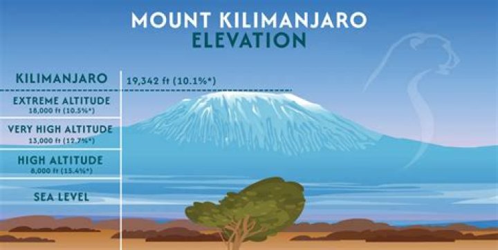 What is the elevation of Scaly Mountain?