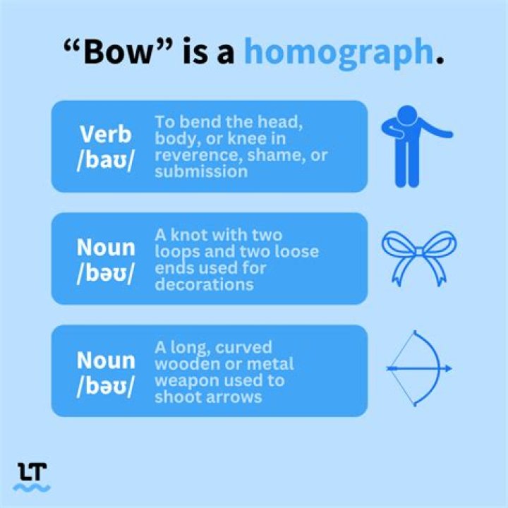 What is the Homograph of bore?
