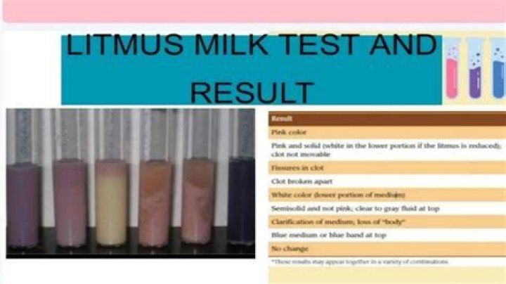 What is the litmus milk test?