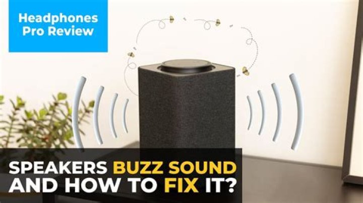 What is the loud buzzing sound outside?