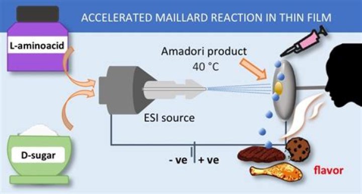 What is the Maillard reaction in simple terms?