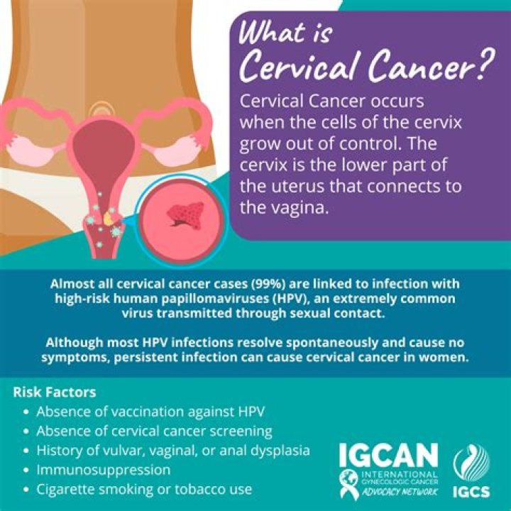 What is the main cause of cervical cancer?