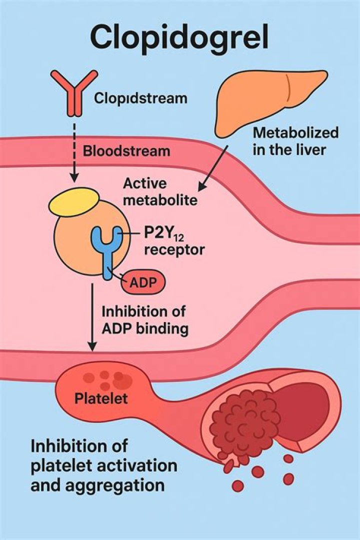 What is the mechanism of action of clopidogrel?