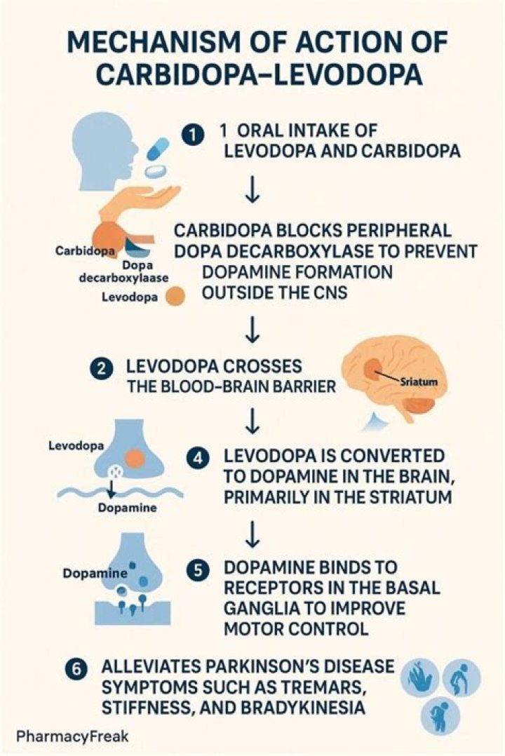 What is the mechanism of action of levodopa carbidopa?