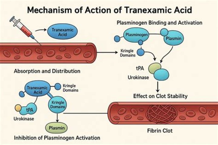 What is the mechanism of action of pramlintide