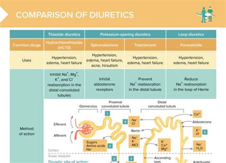 What is the most potent diuretic