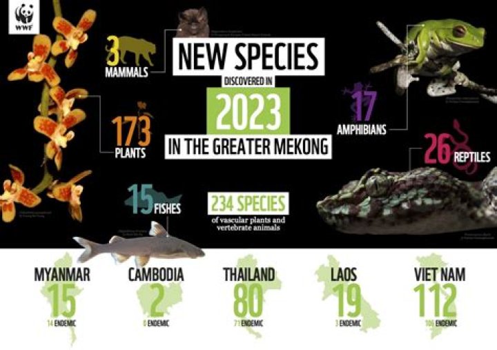 What is the newest discovered animal 2020?
