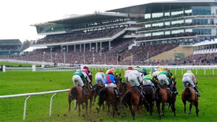 What is the oldest racecourse in Ireland?