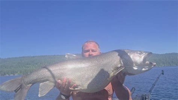 What is the record lake trout in New Hampshire?