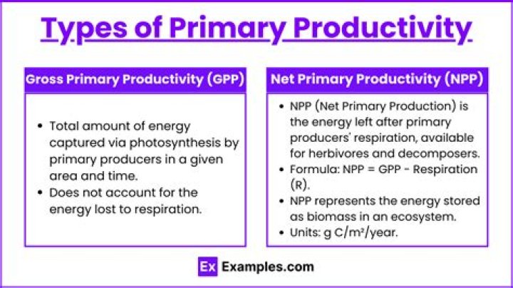 What is the relationship between gross productivity and net primary productivity write the equation?