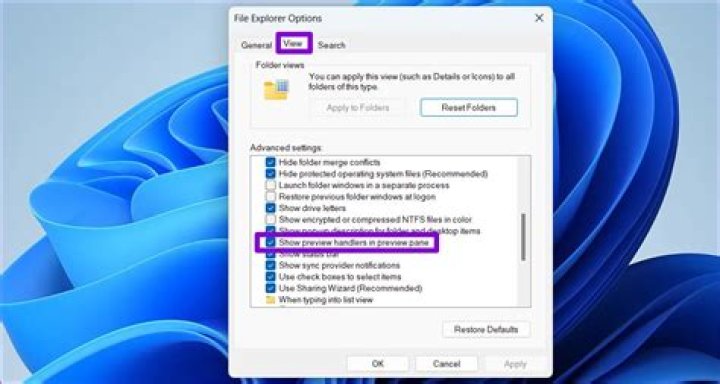 What is the right pane of Windows Explorer?