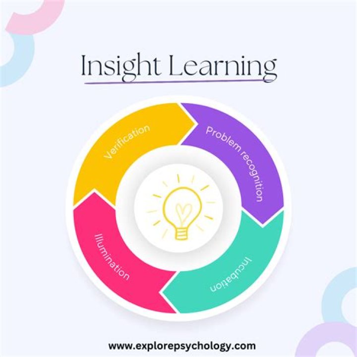 What is the role of insight in therapy?
