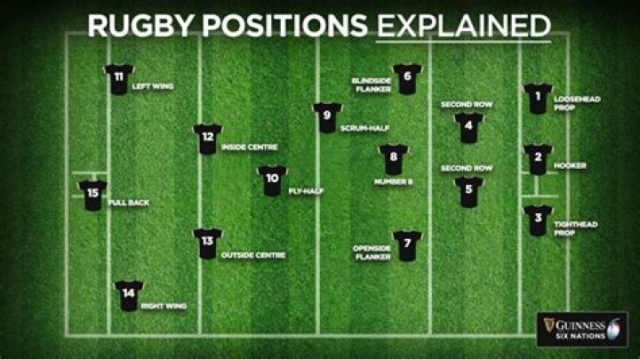 What is the rugby playing area called?