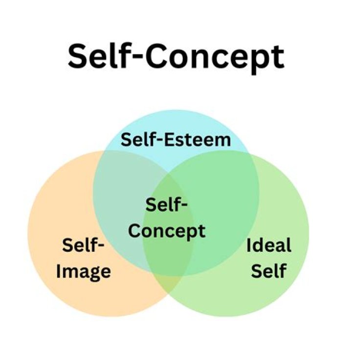 What is the self image congruence model?