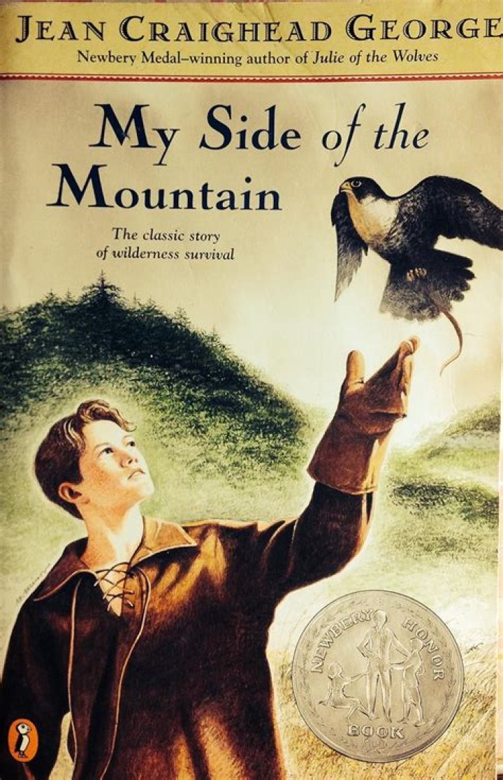 What is the summary of my side of the mountain?