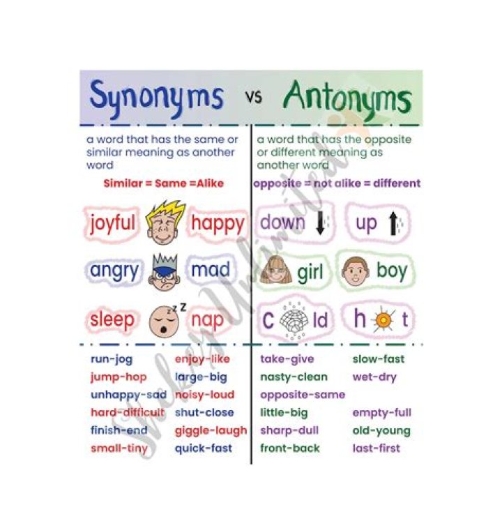 What is the synonym and antonym of anchor?