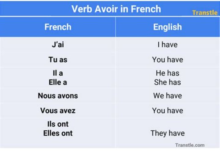 What is the verb avoir in French?
