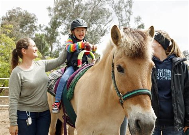 What is therapeutic horseback riding called?