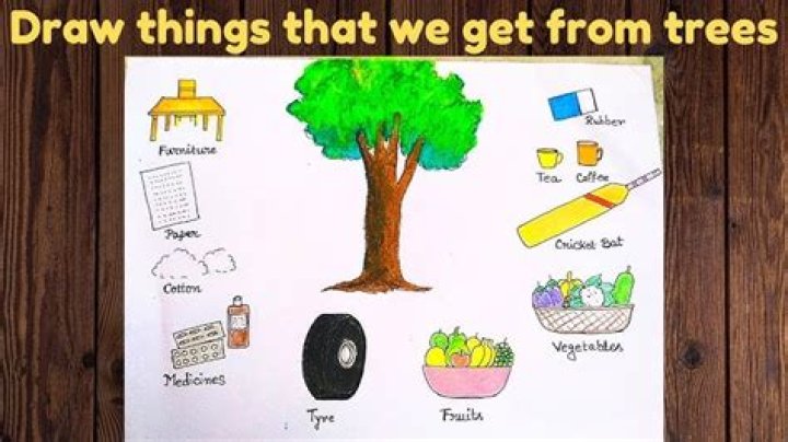 What is tree made out of?