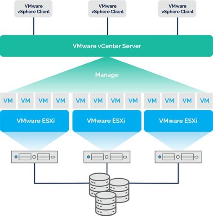 What is VECS VMware?