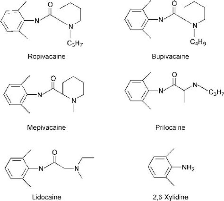 What is xylidine used for?