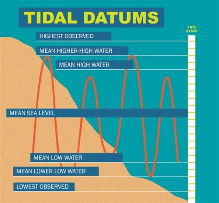 What is your review of tidal?