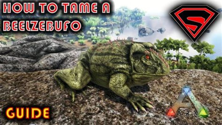 What kibble does a Beelzebufo eat?