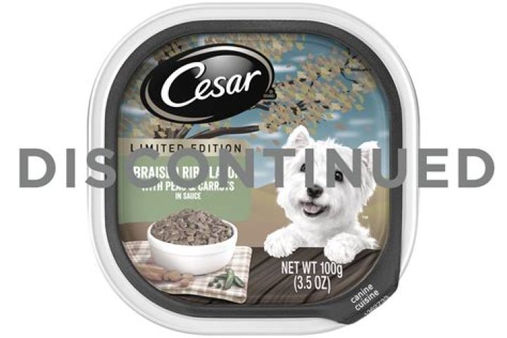 What kind of dog is on the Little Caesars dog food commercial?