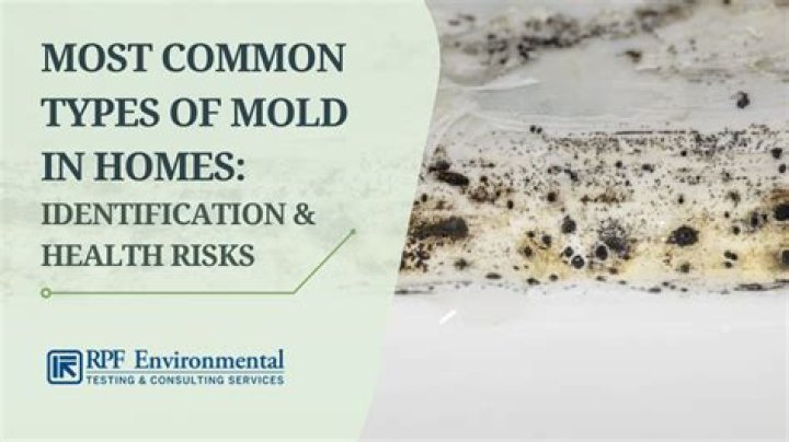 What kind of mold do you use for hard candy?