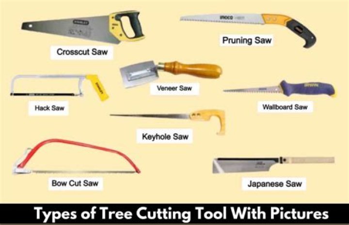 What kind of saw do you need to cut wood?