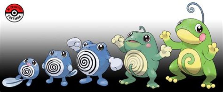 What level does Politoed evolve?