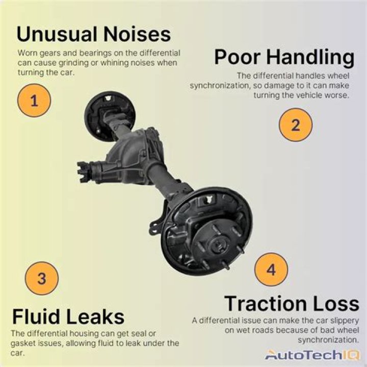 What oil goes in my differential?