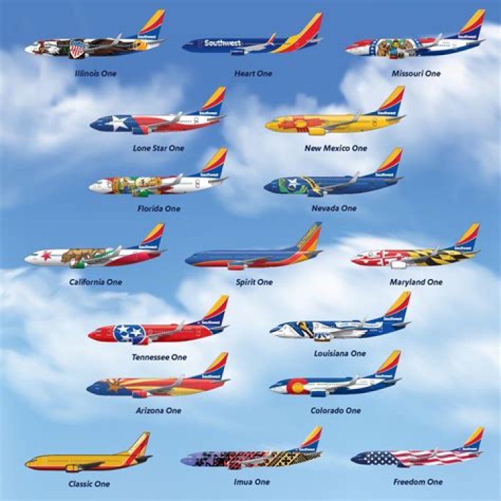 What planes have FSX?