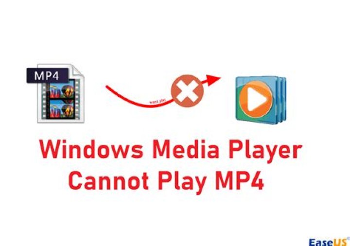 What programs will play MP4 files?