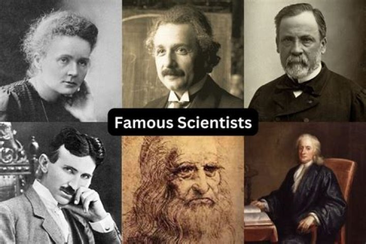 What scientist studies human cultures?