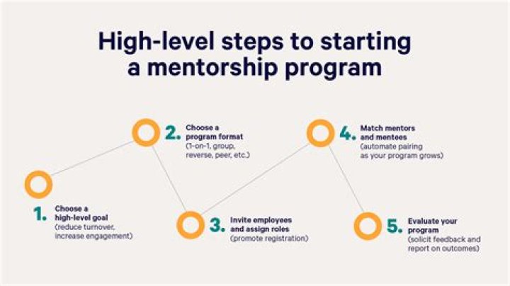What should be included in a mentoring program?