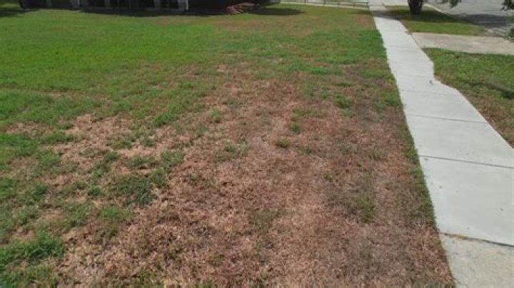 What should I do to my lawn in the winter?