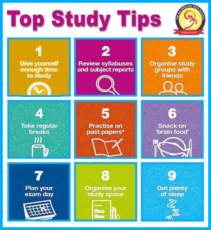 What should I study for MIS?
