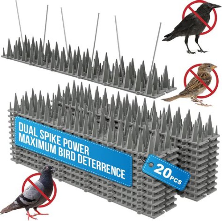 What spray will keep birds away