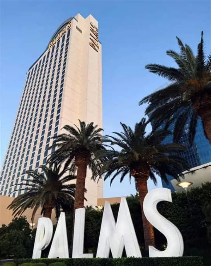 What time is check in at the Palms Las Vegas