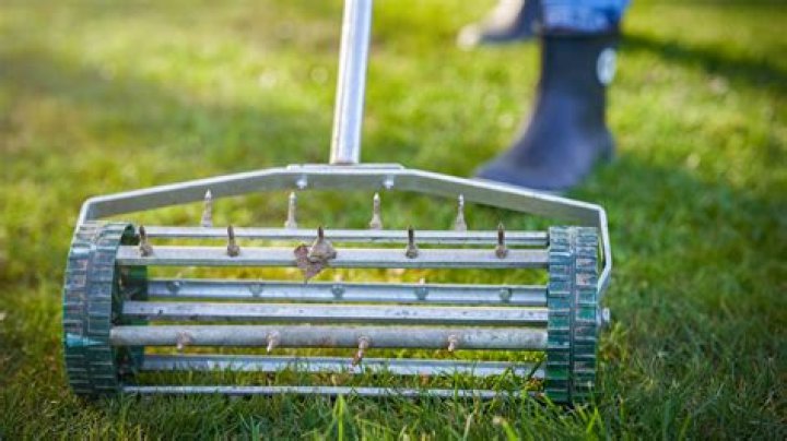 What time of year is best to aerate lawn